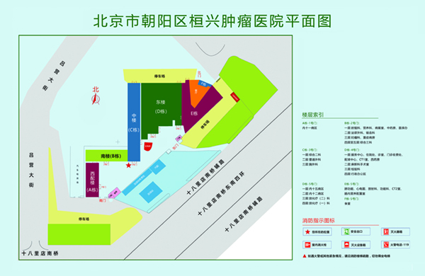 外国鸡巴操中国逼视频北京市朝阳区桓兴肿瘤医院平面图